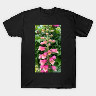 Perennial Pink Foxglove Flower T-Shirt